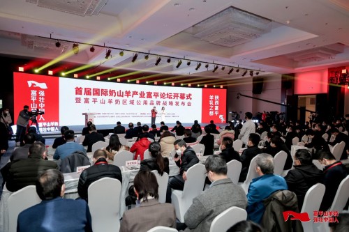 做大做强奶山羊产业，国际奶山羊产业高质量发展“富平倡议”隆重发布(图2)