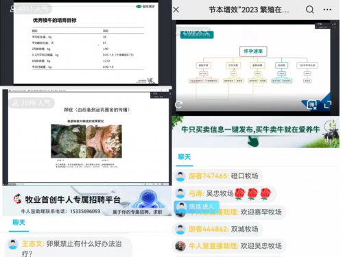 “520爱养牛日”赋能牧场健康发展(图2)
